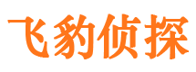 涧西市侦探调查公司